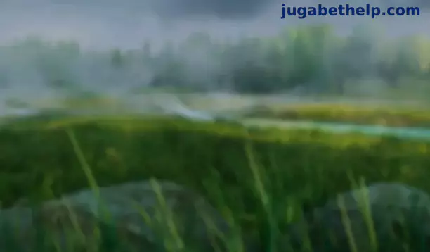 Momios en vivo JugaBet en México